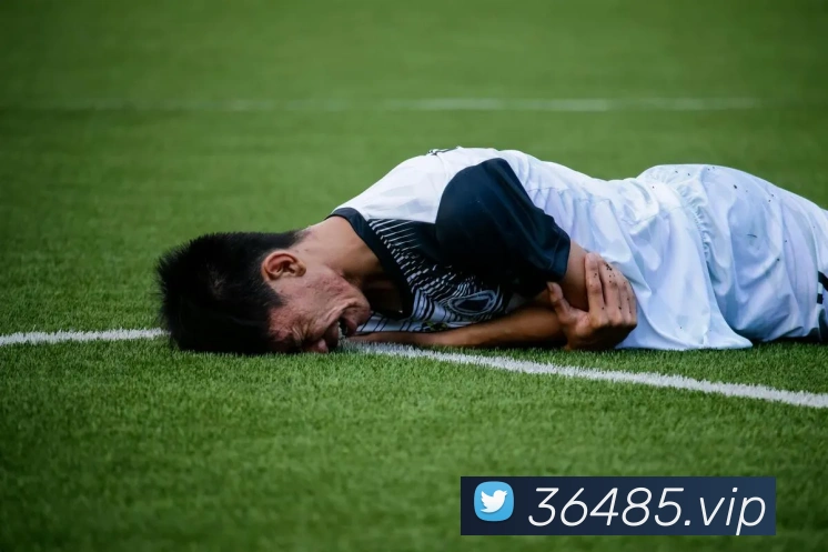 App 展示图